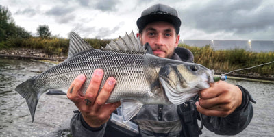 Les Meilleurs Leurres pour Capturer les Carnassiers en 2025