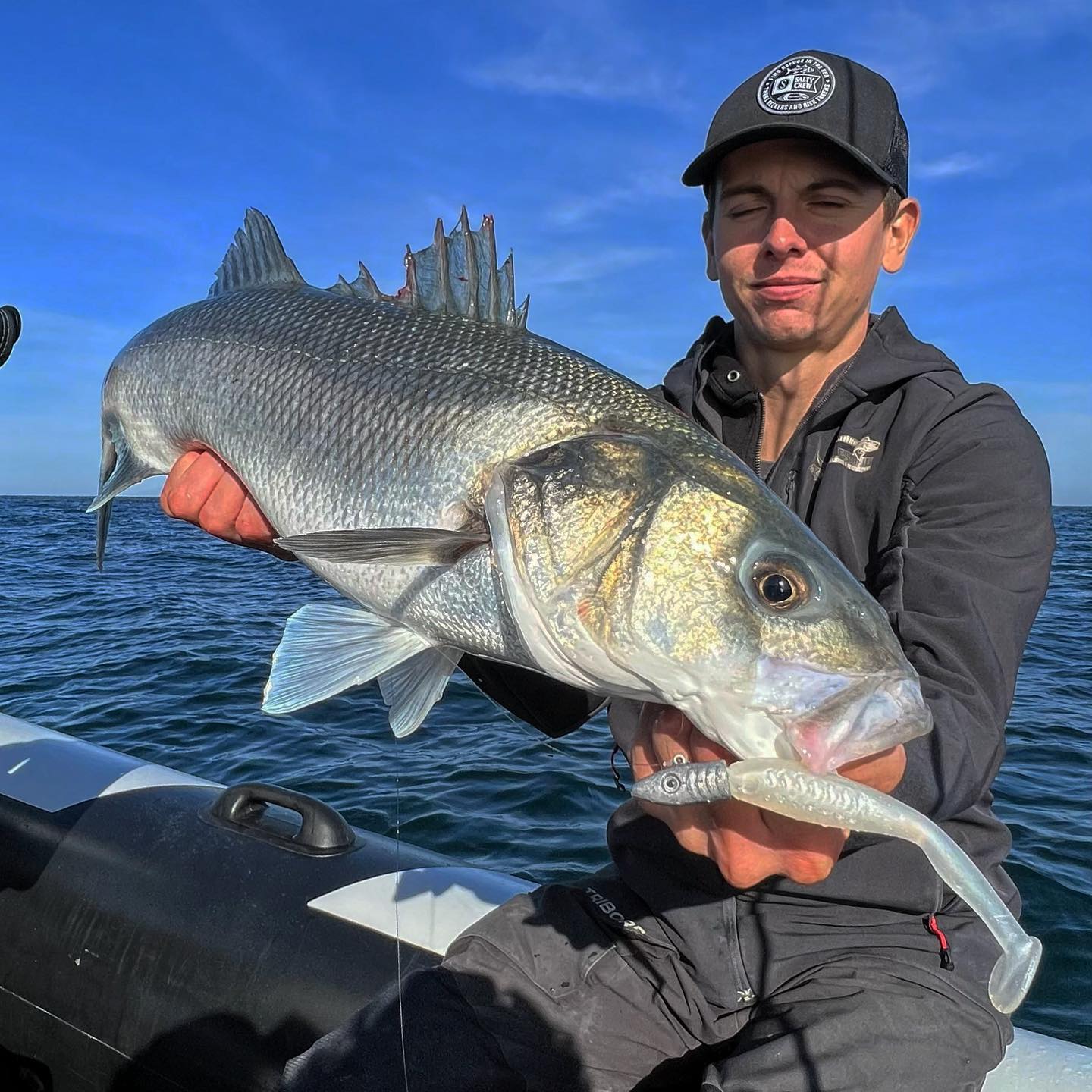Combo pack Optimus Shad